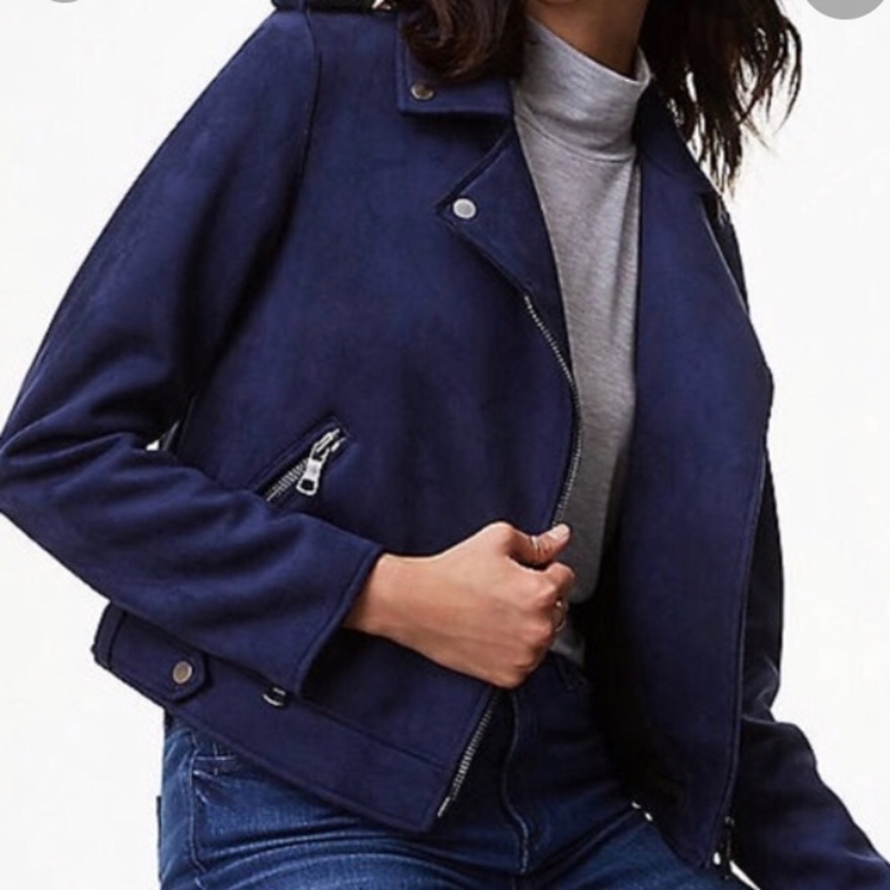 LOFT Navy Blue Suede Moto Jacket
